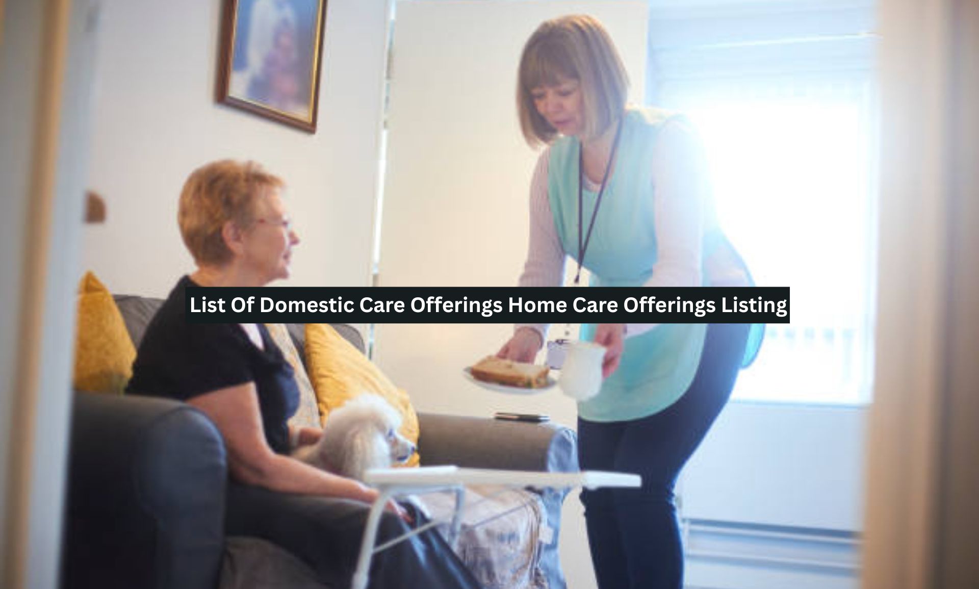 List Of Domestic Care Offerings Home Care Offerings Listing